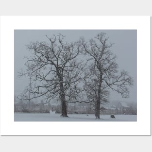 Snowy Trees Posters and Art